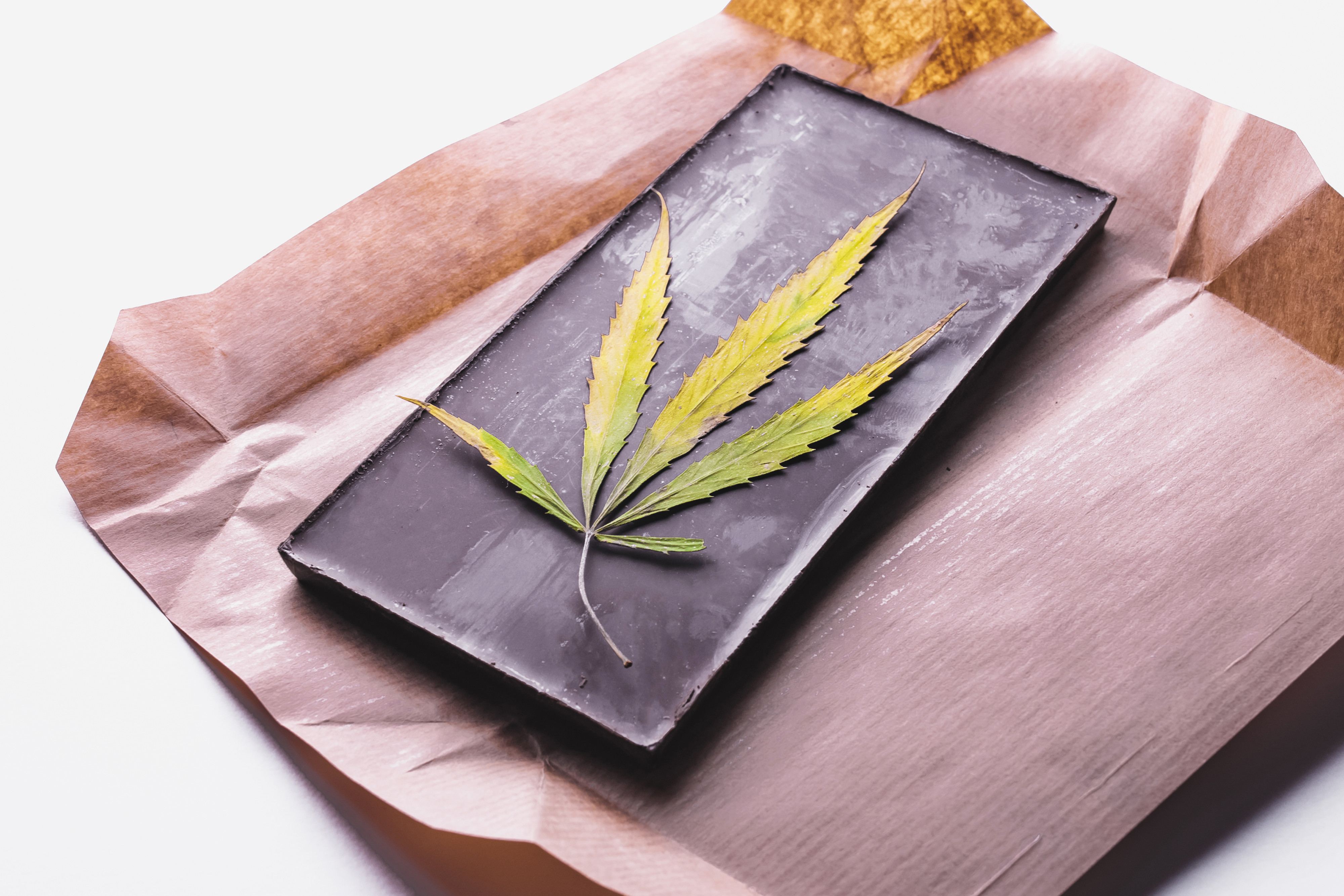 Cannabis club hamburg – Gemeinschaft statt Schwarzmarkt