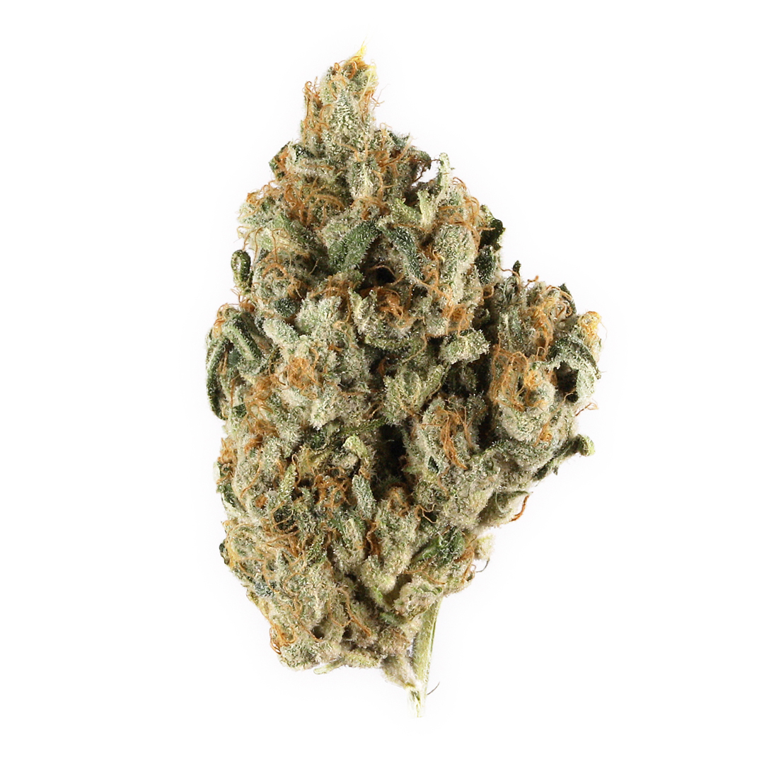 Miami runtz strain: Why Connoisseurs Love This Flavor